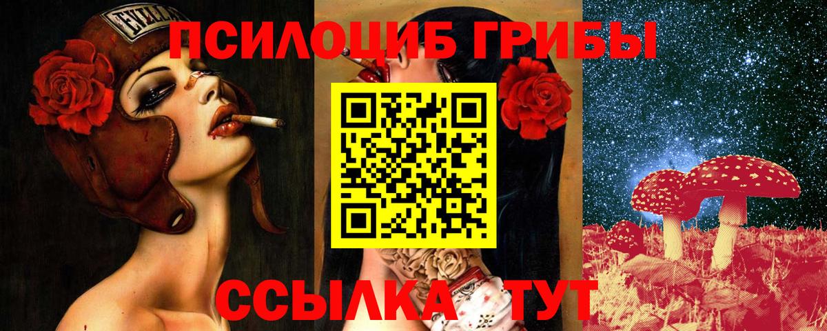 Псилоцибиновые грибы мухоморы Дивногорск