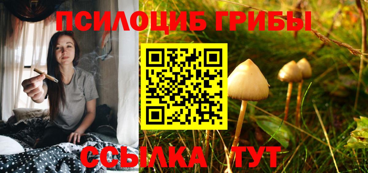 Псилоцибиновые грибы Magic Shrooms  Вход с VPN  Дивногорск  Галлюциногенные грибы ЛСД 