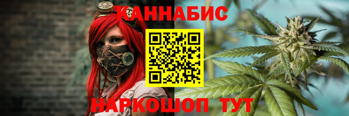 Конопля марихуана Дивногорск